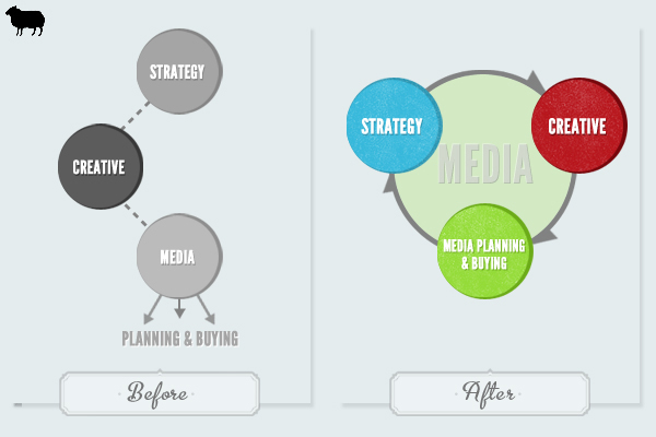 saneel's-infographic